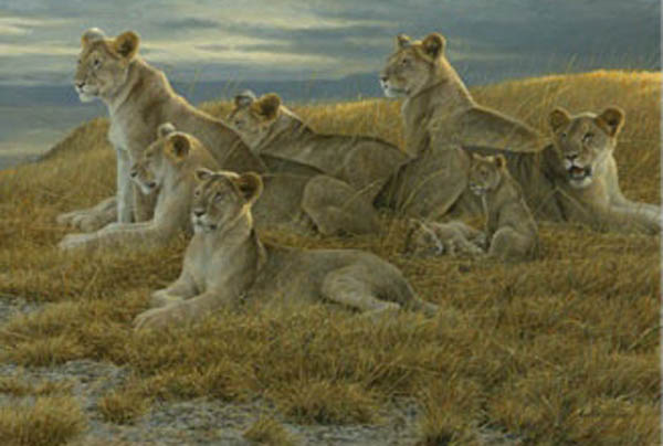 Robert Bateman Family Gathering Lioness and Cubs