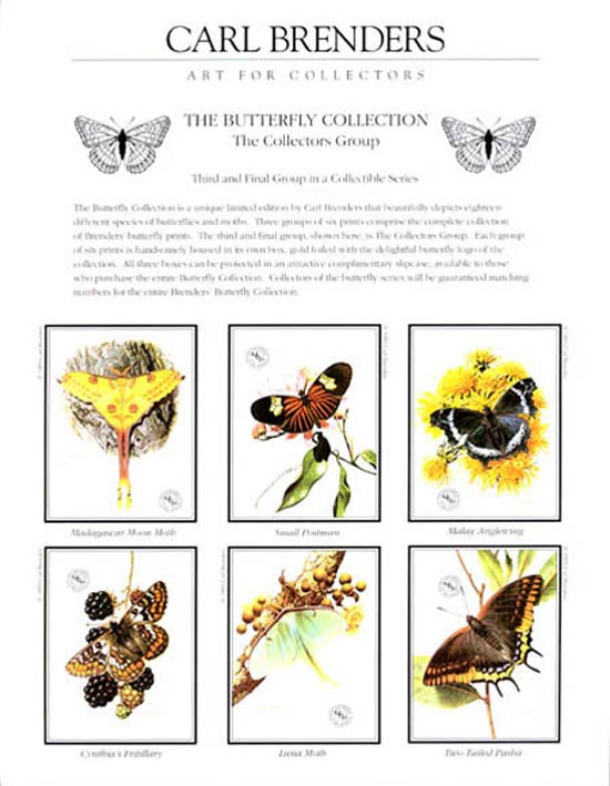Carl Brenders Butterfly Collection Collecters