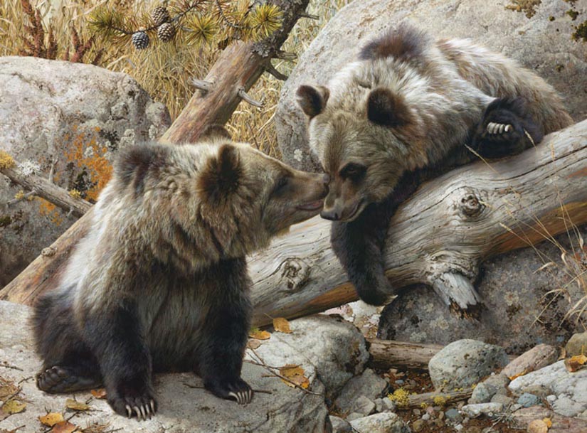 Carl Brenders Alaska Chat Grizzly Bears