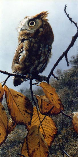 Carl Brenders Fireball Screech Owl