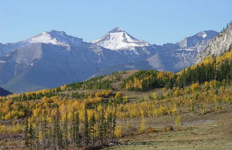 Angelo Avlonitis Banded peak