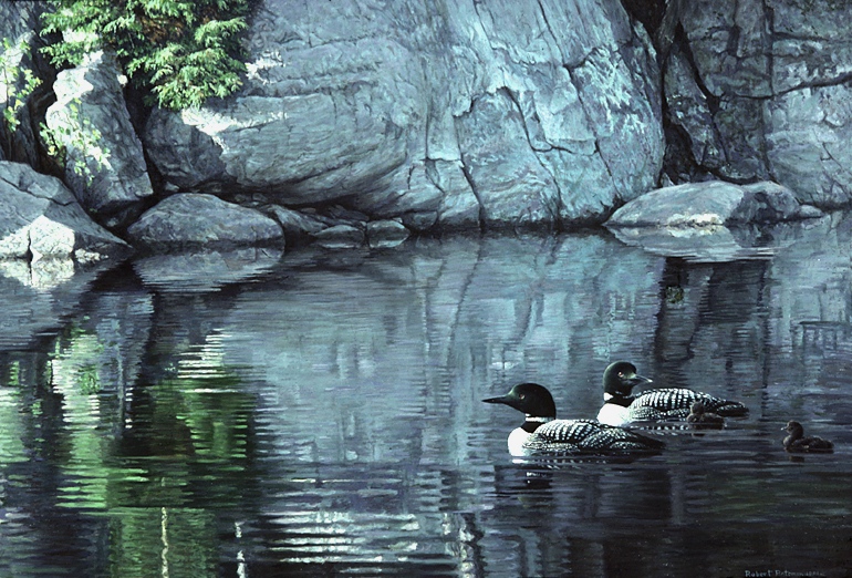 Robert Bateman Northern Reflections Loon Family