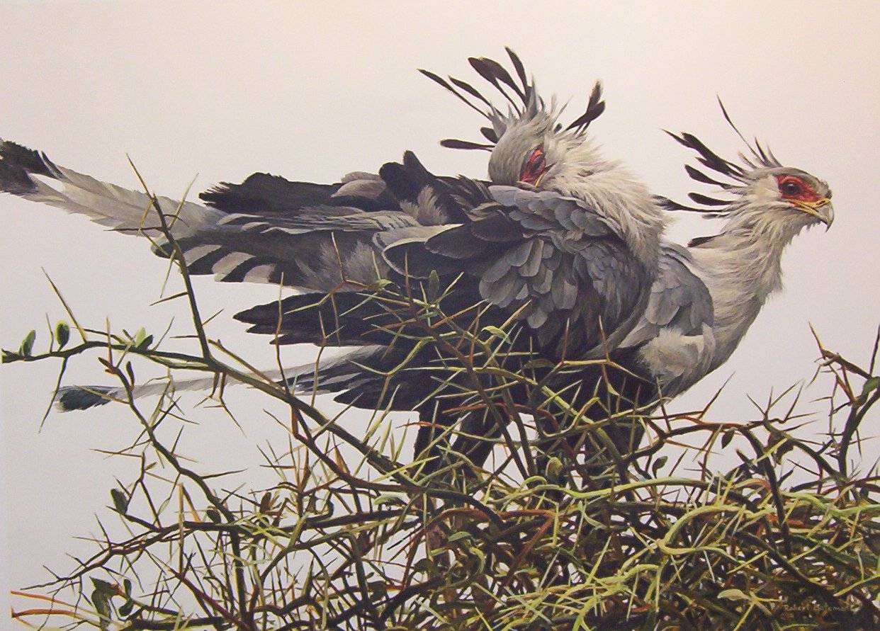Robert Bateman At The Nest Secretary Birds