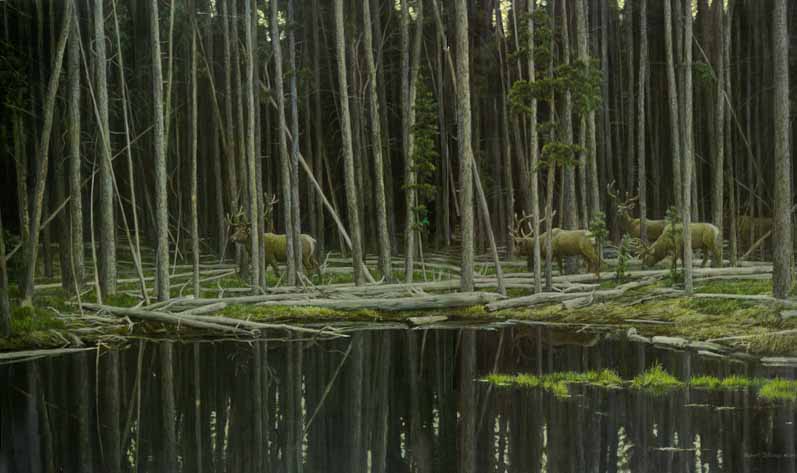 Robert bateman Elk At Yellowstone