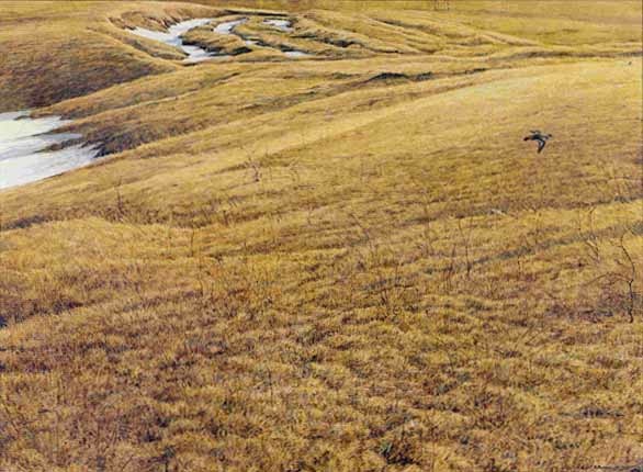 Robert Bateman First Arrival Killdeer