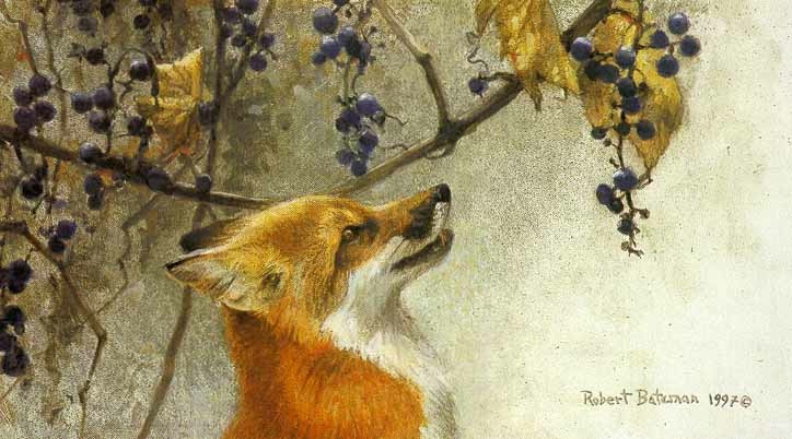 fox eating grapes