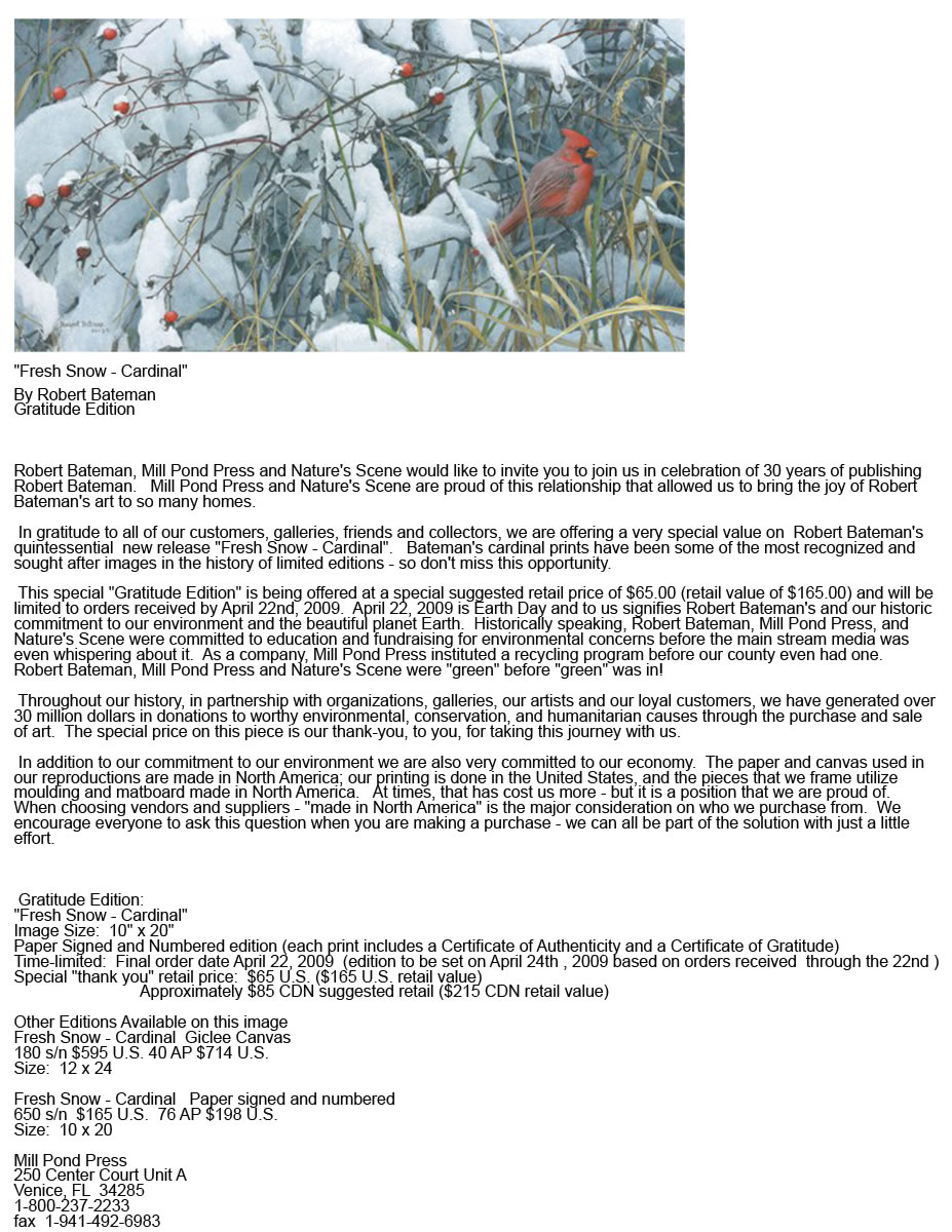 Robert Bateman Fresh Snow Cardinaln