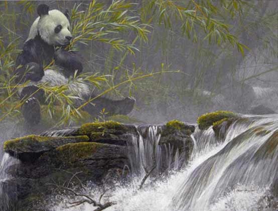bateman - giant panda.jpg (36611 bytes)