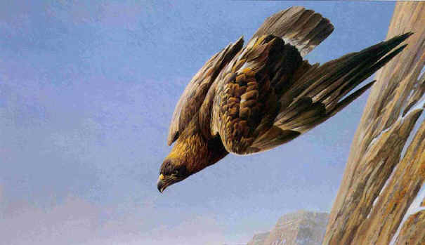 Robert Bateman Golden Eagle
