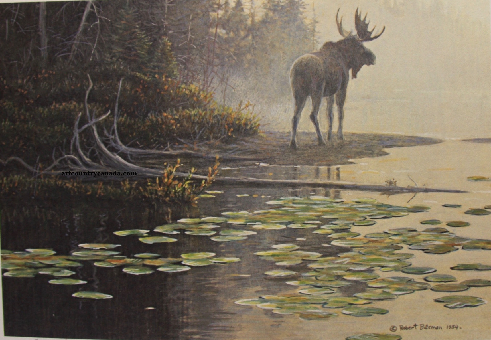 Robert Bateman Moose at Water's Edge
