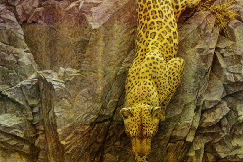 Robert Bateman Rockface Descent