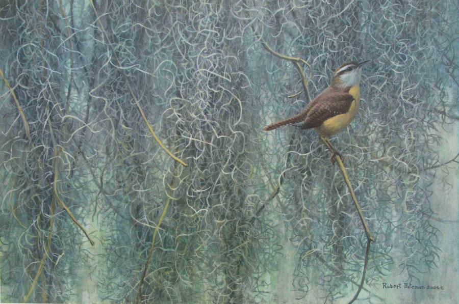Robert Bateman Song Of The South Wren