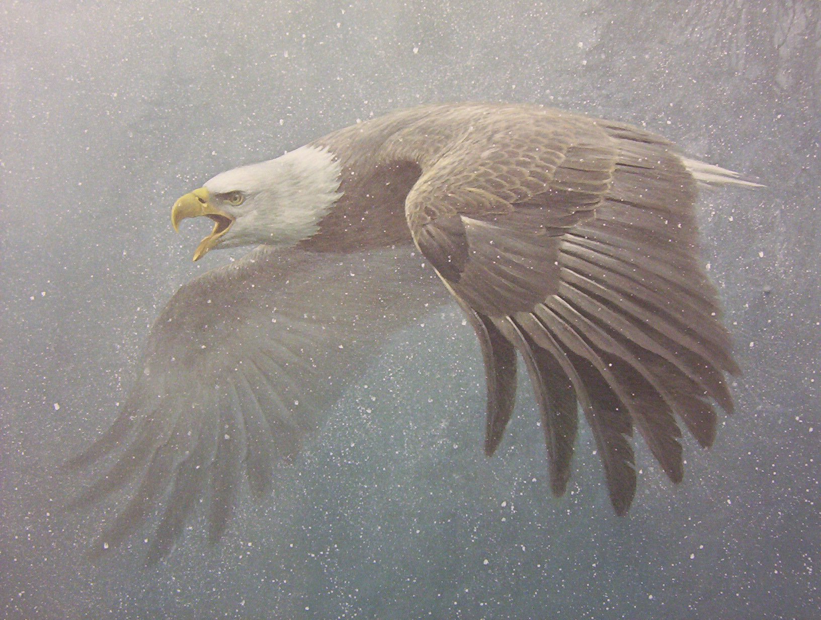 Robert Bateman Vigilance