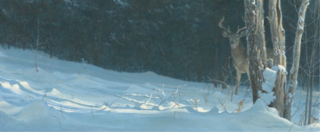 Robert Bateman WhiteTail in Winter