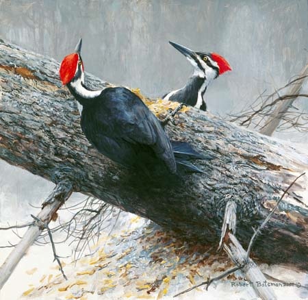Robert Bateman Woodworkers Pileated Woodpecker