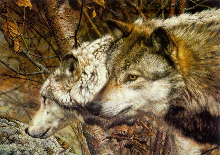 Carl Brenders Companions Wolves