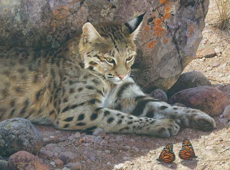 Carl Brenders Off Limits