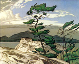 A.J. Casson White Pine