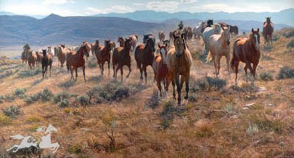 Tim Cox Cow Horse Country