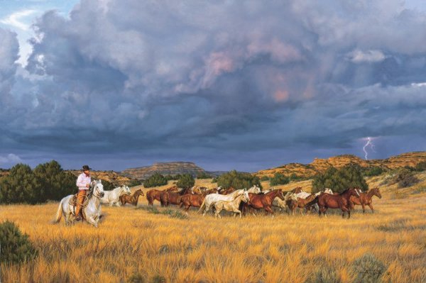 Tim Cox Thunder Rolls
