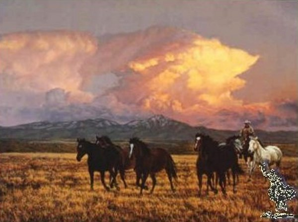 Tim Cox Twilight