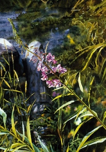 Carol Evans Fireweed on the Beach