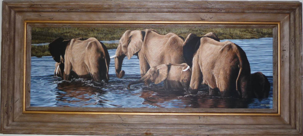 Darren Haley Crossing The Chobe River