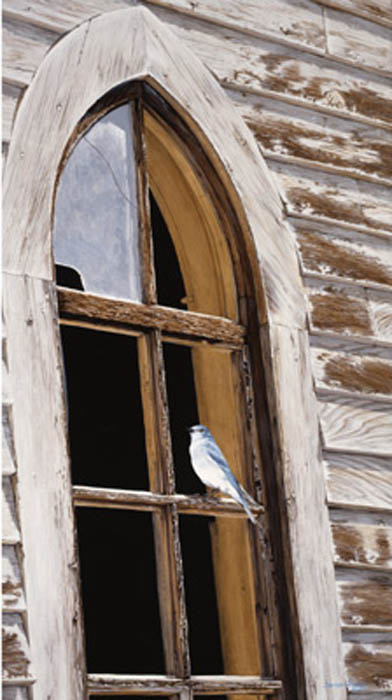 Darren Haley The Soloist Mountain Bluebird