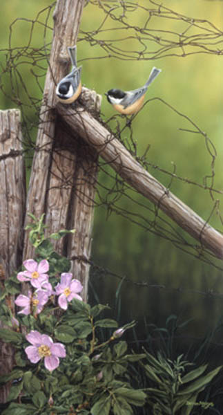 Darren Haley Spring Chickadees