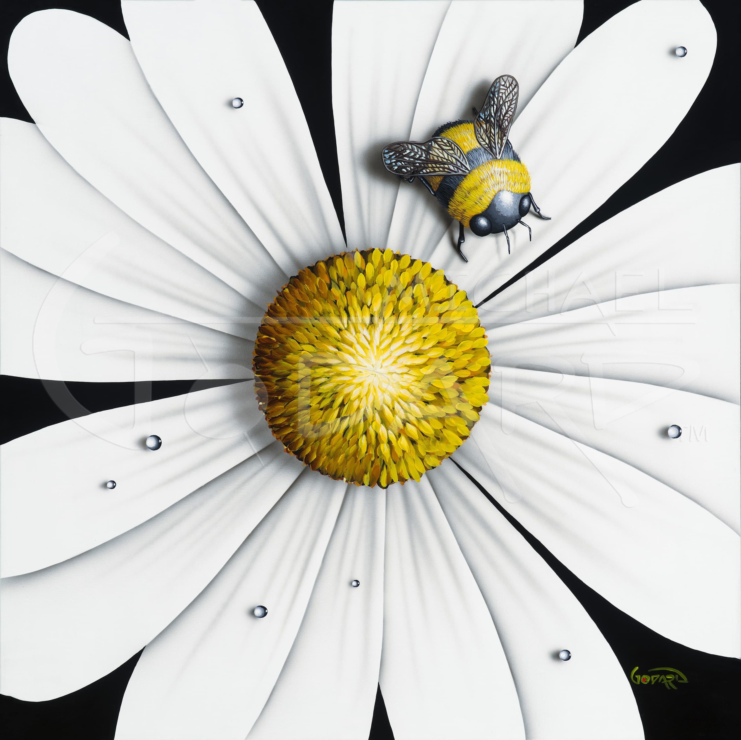 " WHITE FLOWER BUMBLEBEE "
Michael Godard " WHITE FLOWER BUMBLEBEE "
Michael Godard signed and numbered giclee canvas