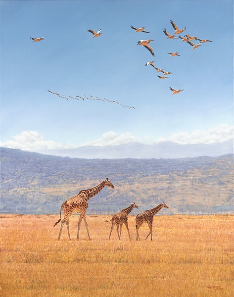 Guy Combes High Hopes