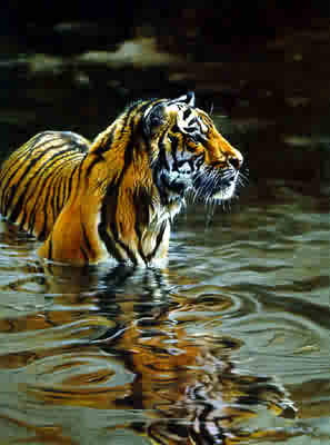 Matthew Hillier Chilling Out