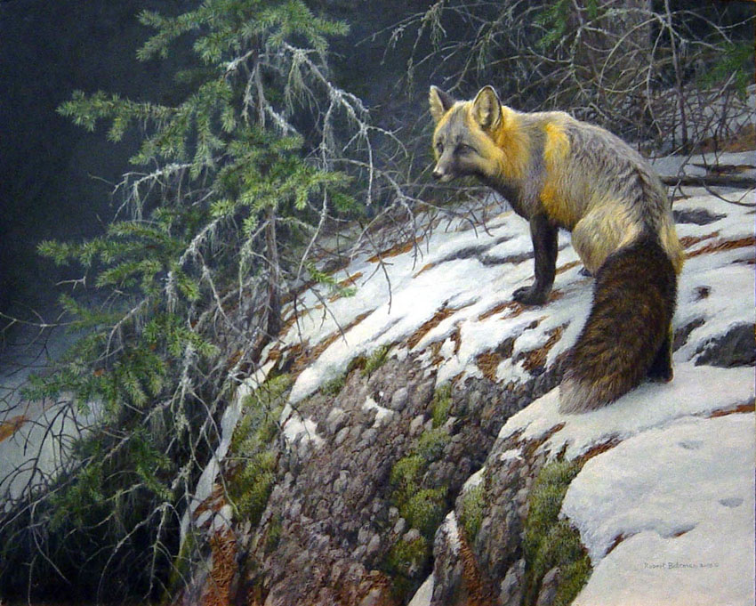 Robert Bateman Fox Crossing