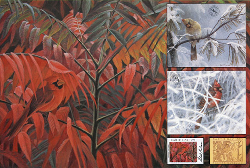 Robert Bateman Cardinal and Sumac Global Edition