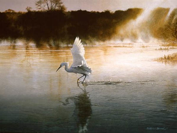 Matthew Hillier Breaking The Silence Egret