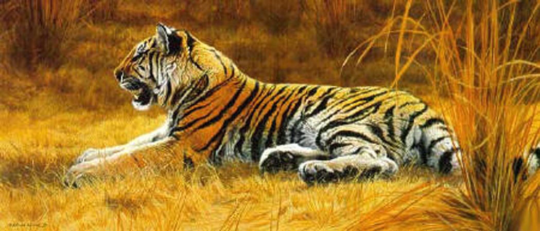 Matthew Hillier Golden Dawn