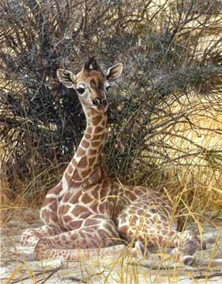 Matthew Hillier Hidden Treasure Giraffe