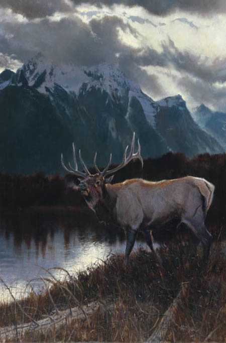 Matthew Hillier Majesty