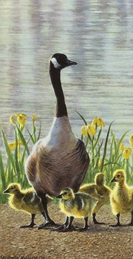 Matthew Hillier Mother Goose