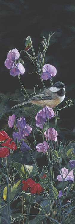 Terry Isaac Dash Of Color Chickadee