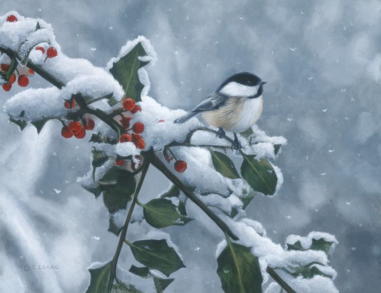 Terry Isaac Holly Buddy Chickadee