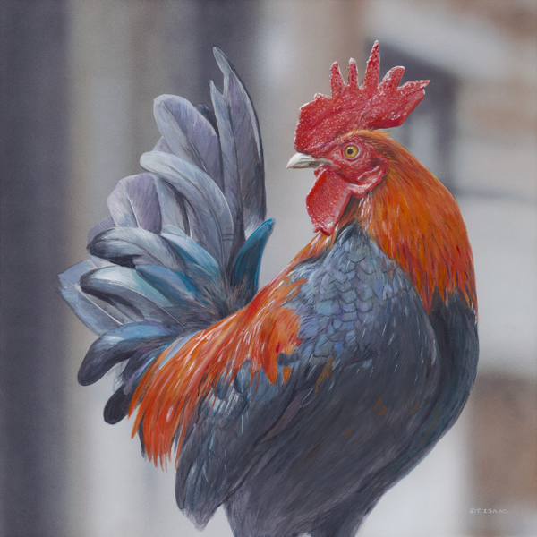 Terry Isaac King Of The Crop Roosters