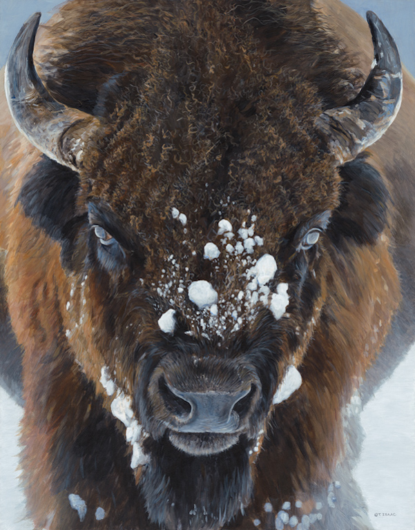 Terry Isaac Winter Warrior Bison