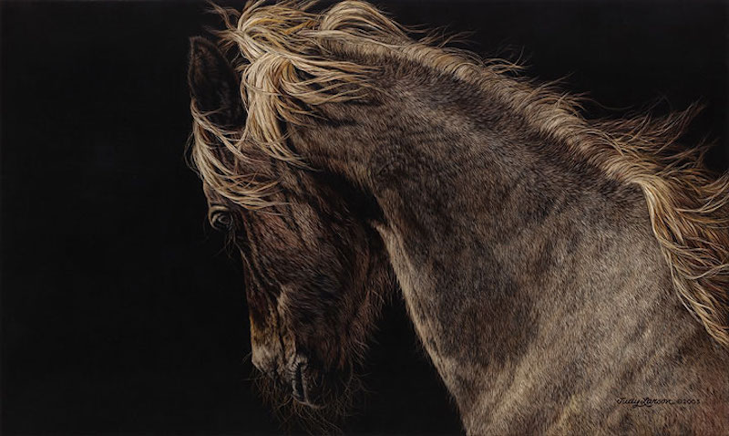 FIRE & FLIGHT JUDY LARSON 