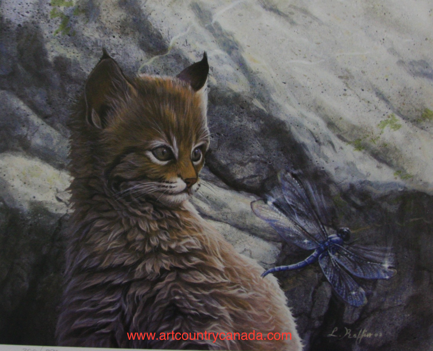 luke raffin mesmerized