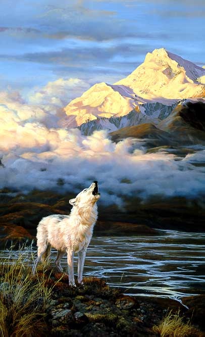 John  Seerey-Lester Alpenglow Arctic Wolf