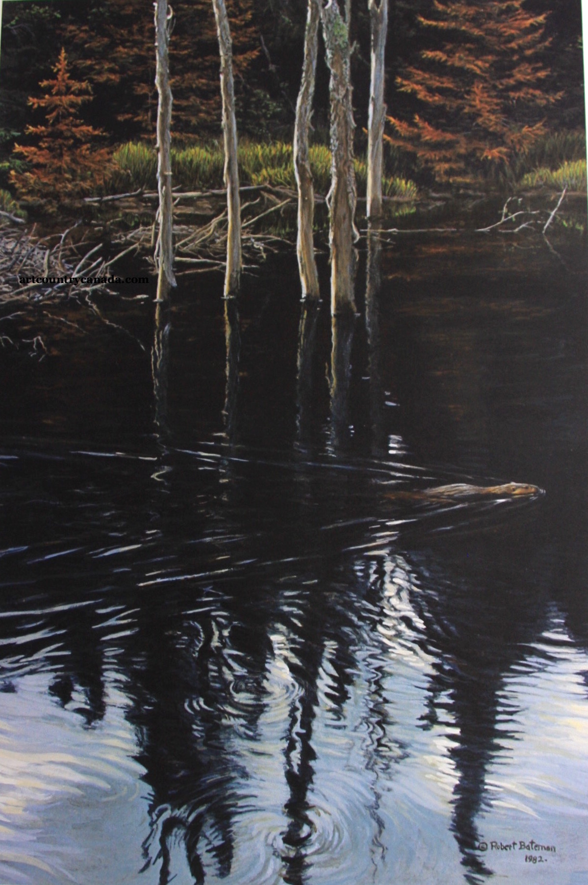Robert Bateman Beaver Pond Reflection