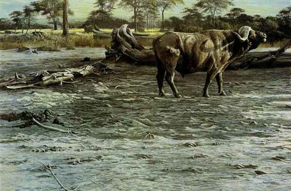 Robert bateman Buffalo At Amboseli