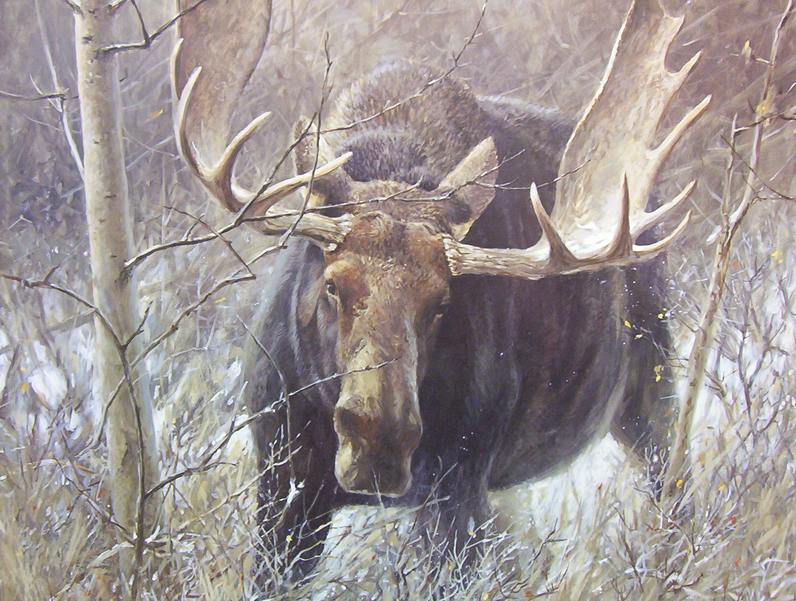 Robert Bateman Challenge Bull Moose
