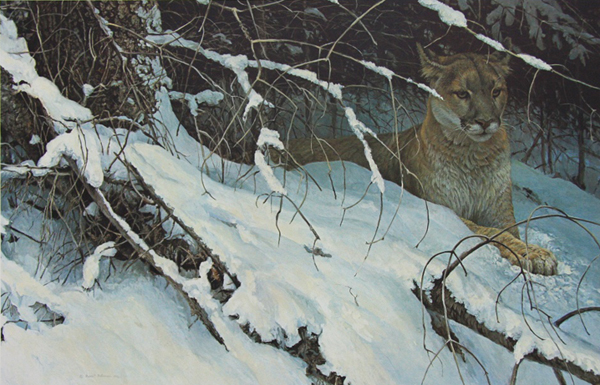 Robert Bateman Cougar In The Snow